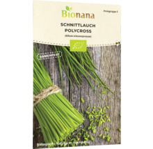 Bionana Schnittlauch Polycross Samenpackung