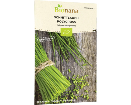Schnittlauch Kräutersamen