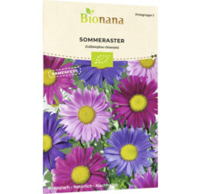 Sommeraster Blumensamenpackung
