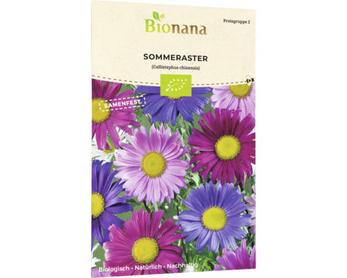 Sommeraster Blumensamen