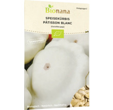Bionana Speisekürbis Patisson Blanc Samenpackung