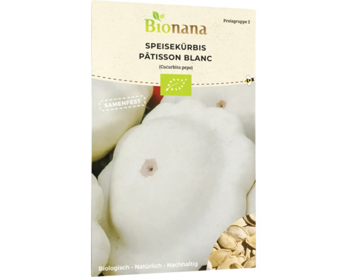Kürbis Gemüsesamen