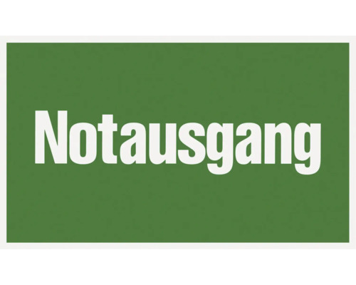 Hinweisschild "Notausgang" 250x150 mm