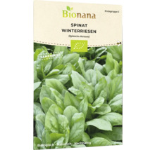 Bionana Spinat Winterriesen Samenpackung