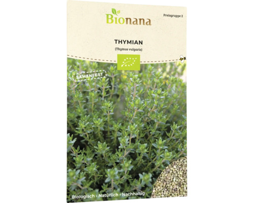 Thymian Kräutersamen