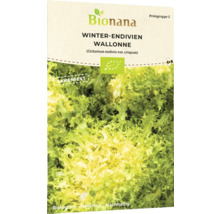 Bionana Endives d''hiver Wallonne paquet de semences