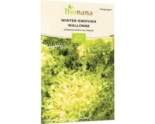 Bionana Endives d''hiver Wallonne paquet de semences