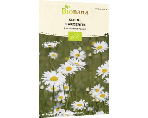 Margerite Blumensamen
