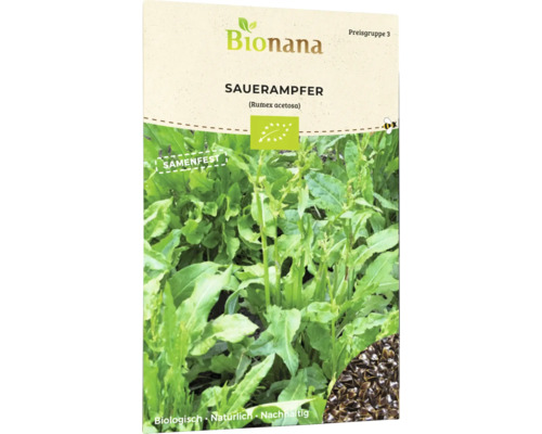 Sauerampfer Blumensamen