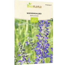 Bionana Wiesensalbei Samenpackung