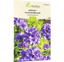 Samenpackung Knäuel-Glockenblume