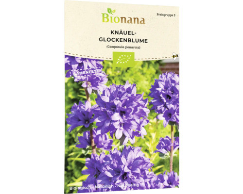 Glockenblume Blumensamen