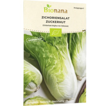Bionana Zichoriensalat Zuckerhut Samenpackung