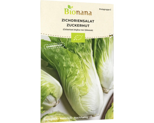 Bionana Zichoriensalat Zuckerhut Samenpackung