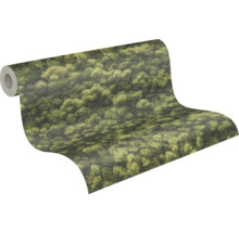 Tapetenrolle mit Moosmuster