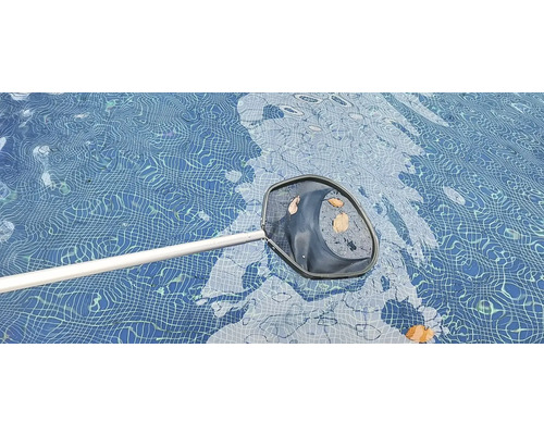 Épuisette de piscine avec des feuilles dans la piscine