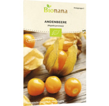 Bionana Andenbeere Samenpackung