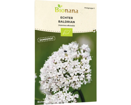 Mischung Blumensamen