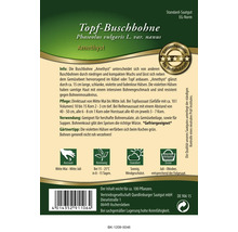 Sachet de graines Haricot nain Amethyst