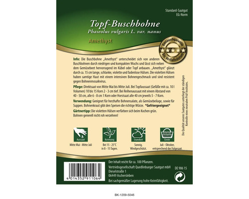 Samenpackung Topf-Buschbohne Amethyst