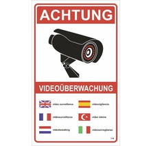 Panneau d'avertissement «vidéosurveillance» 250x150 mm-thumb-0