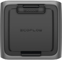 EcoFlow Logo auf einem tragbaren Kraftwerk