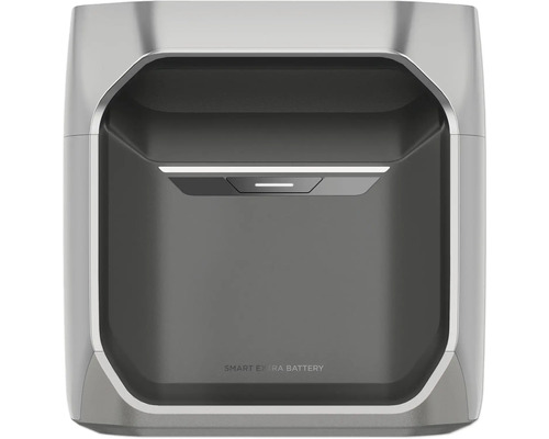 Smart Extra Batterie