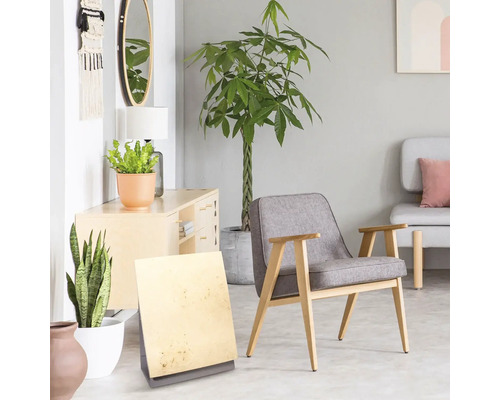 Salon avec fauteuil, commode, plantes et décorations pour une ambiance lumineuse et organisée.