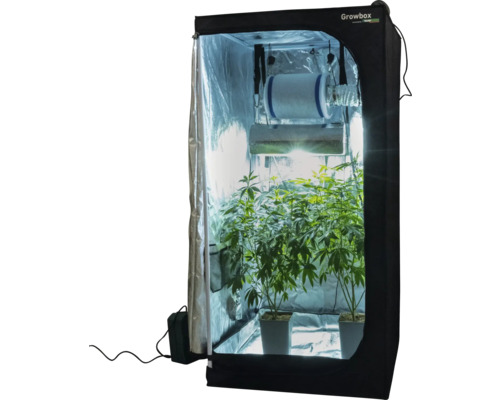 Growbox mit Pflanzen, Beleuchtung und Belüftungssystem.