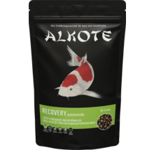 Aliment pour poissons Alkote Recovery Regeneration pour carpes koï et poissons d''étang