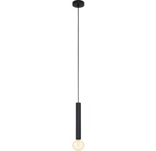 Lampe à suspension avec source lumineuse