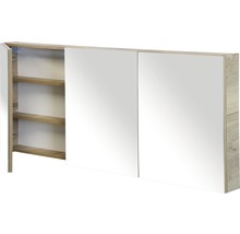 Spiegelschrank mit zwei Türen und Regalen