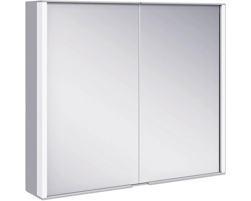 Porte KEUCO Royal Match argent mat 90101170039 droite Armoire avec deux portes coulissantes