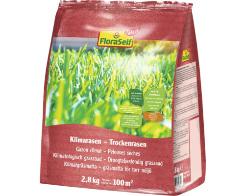 Gazon sec - gazon climatique FloraSelf Select 2,8 kg / 100 m² FloraSelf Gazon climat Pelouses sèches 2,8 kg pour 100 mètres carrés