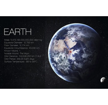 Decopanel The Earth 60x90 cm