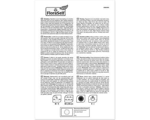 FloraSelf texte d''information sur le raifort