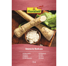 Plant de raifort FloraSelf