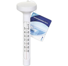 Thermomètre de piscine en plastique, 19,5 cm