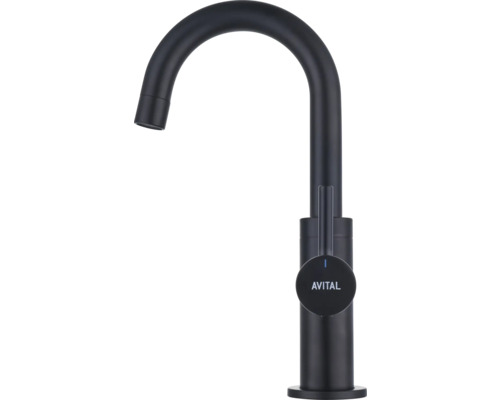 Avital Küchenarmatur mit hohem Auslauf