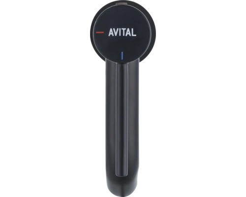 Robinet de cuisine Avital