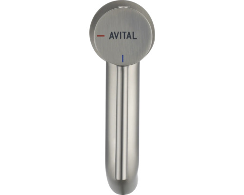 Avital Küchenarmatur in Silber