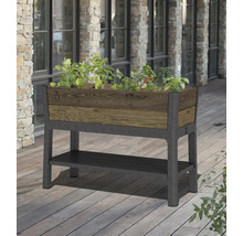 Jardinière surélevée avec plantes et espace de rangement