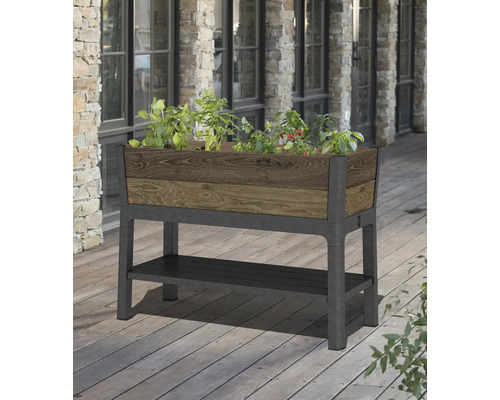 Jardinière surélevée Keter Ashwood 113 x 48 x 79,5 cm noyer Jardinière surélevée avec plantes et espace de rangement