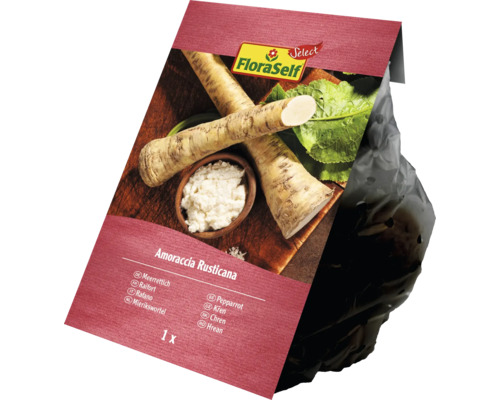 Emballage raifort de FloraSelf