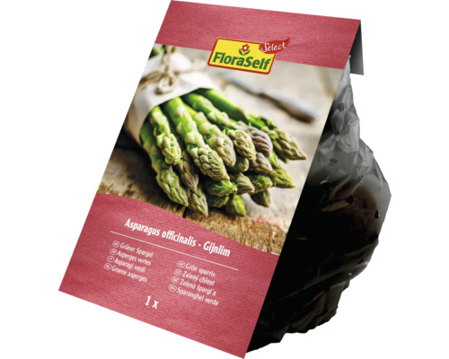FloraSelf Select paquet de graines d''asperges vertes