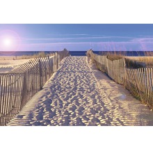 Ein Sandweg mit Holzzaun führt zum Meer.