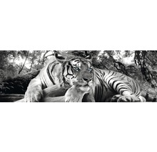 Decopanel Tiger 30x90 cm