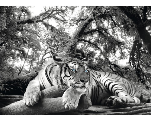 Panneau décoratif Tigre 98x136 cm