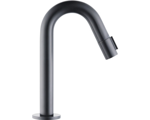 Robinet d'eau froide form&style TAO XS noir mat