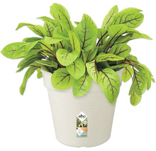 Pot de fleurs elho Green Basics plastique Ø 15 H 14 cm coton